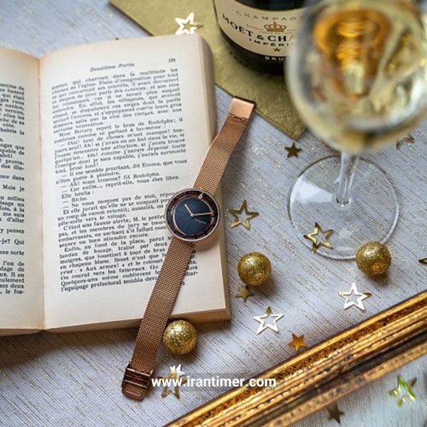 قیمت و خرید ساعت مچی زنانه پیر کاردین(PIERRE CARDIN) مدل CMA.0001 کلاسیک | اورجینال و اصلی