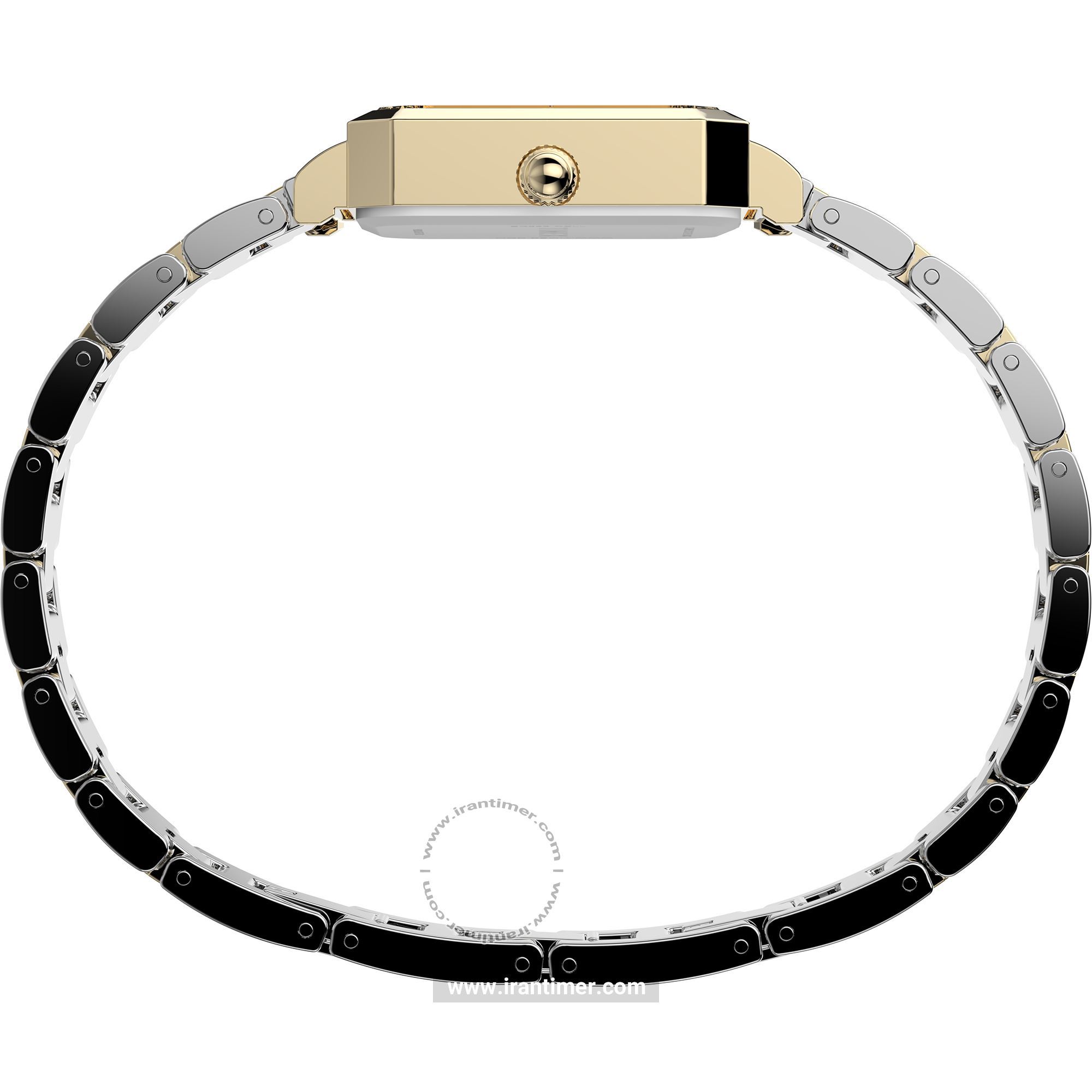 قیمت و خرید ساعت مچی زنانه تایمکس(TIMEX) مدل TW2Y01300 کلاسیک | اورجینال و اصلی