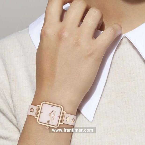 قیمت و خرید ساعت مچی زنانه کوچ(Coach) مدل 14504309 فشن | اورجینال و اصلی