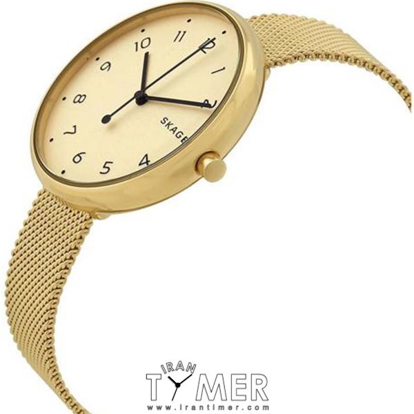 قیمت و خرید ساعت مچی زنانه اسکاگن(SKAGEN) مدل SKW2625 کلاسیک | اورجینال و اصلی