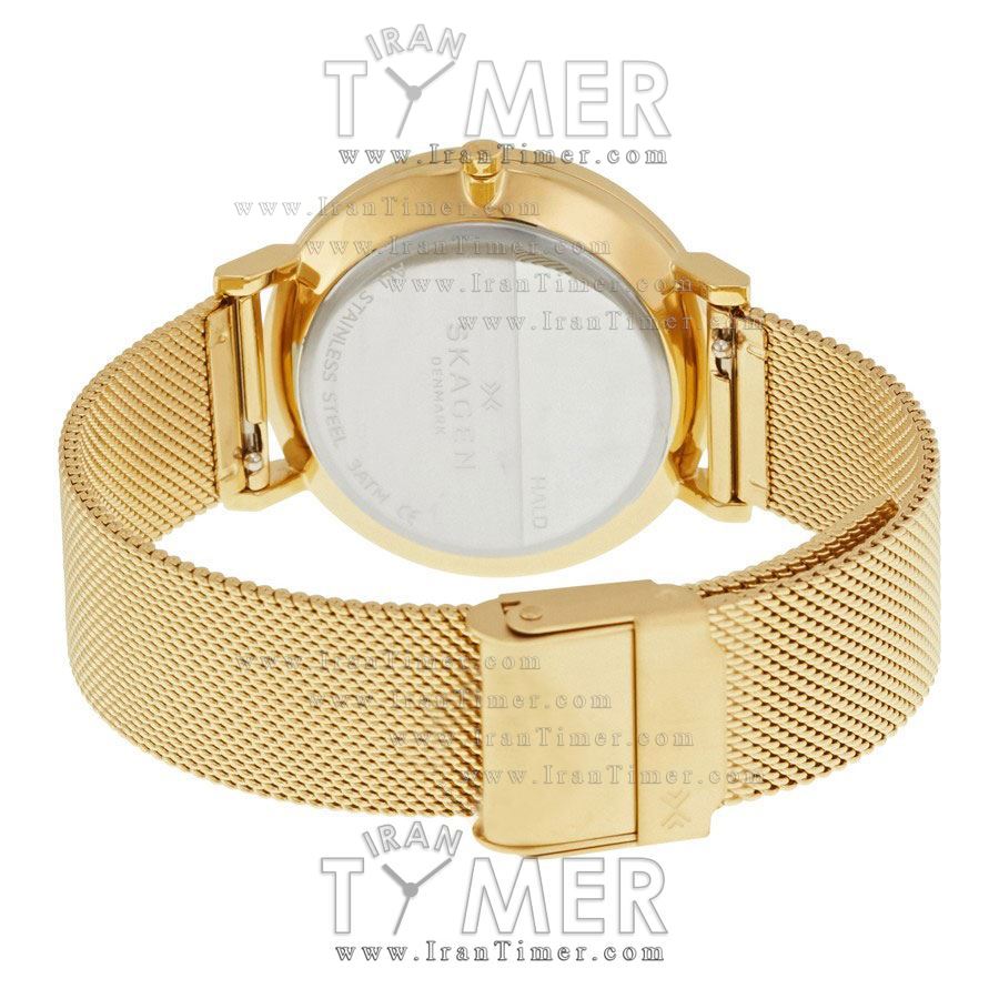 قیمت و خرید ساعت مچی زنانه اسکاگن(SKAGEN) مدل SKW2509 کلاسیک | اورجینال و اصلی