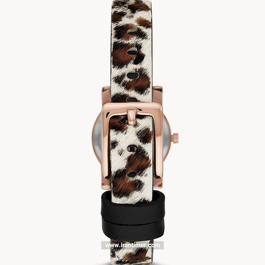 قیمت و خرید ساعت مچی زنانه دی کی ان وای(DKNY) مدل ny2952 کلاسیک | اورجینال و اصلی