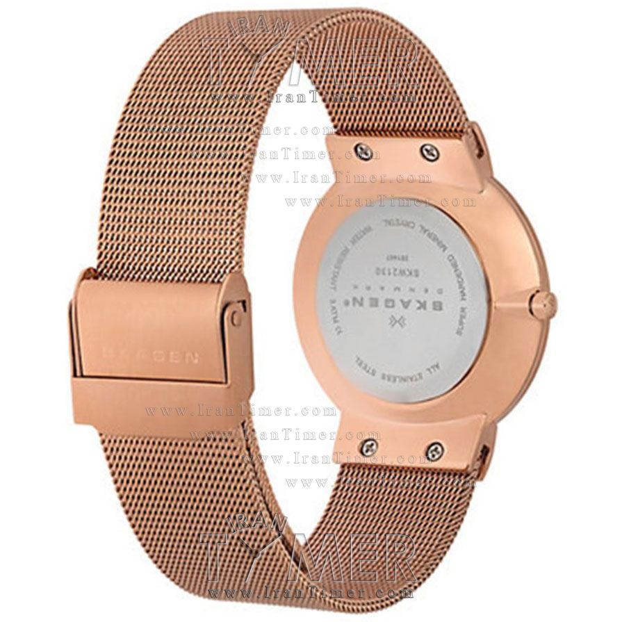 قیمت و خرید ساعت مچی زنانه اسکاگن(SKAGEN) مدل SKW2675 کلاسیک | اورجینال و اصلی