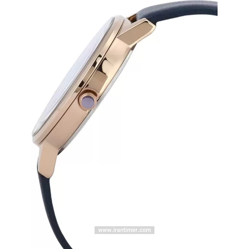 قیمت و خرید ساعت مچی زنانه دنیل کلین(Daniel Klein) مدل DK.1.12338-3 فشن | اورجینال و اصلی