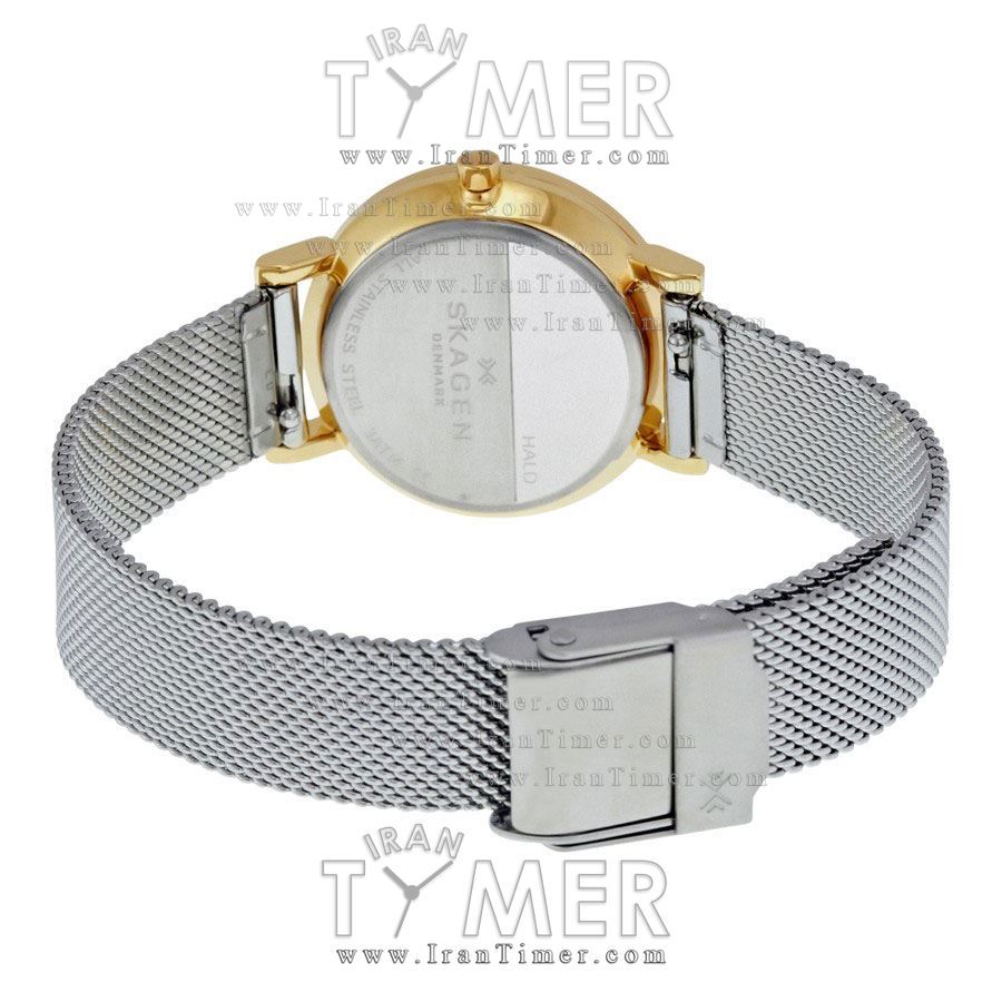 قیمت و خرید ساعت مچی زنانه اسکاگن(SKAGEN) مدل SKW2445 کلاسیک | اورجینال و اصلی