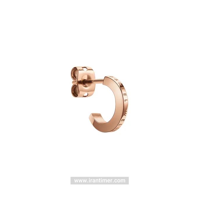 قیمت و خرید گوشواره زنانه دنیل ولینگتون(DANIEL WELLINGTON) مدل DW00400146 کلاسیک | اورجینال و اصلی