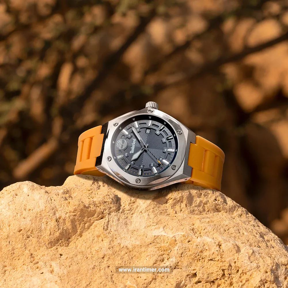 قیمت و خرید ساعت مچی مردانه تیمبرلند(TIMBERLAND) مدل TDWGN0009902 اسپرت | اورجینال و اصلی