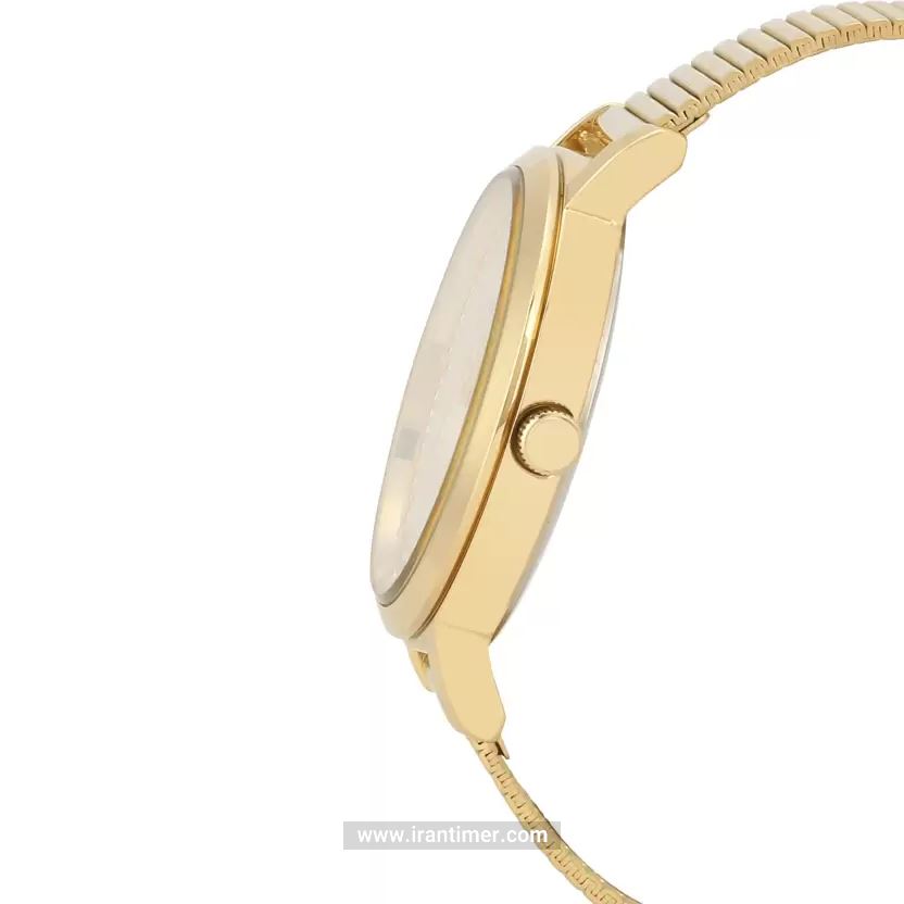 قیمت و خرید ساعت مچی زنانه دنیل کلین(Daniel Klein) مدل DK.1.12267-2 کلاسیک | اورجینال و اصلی