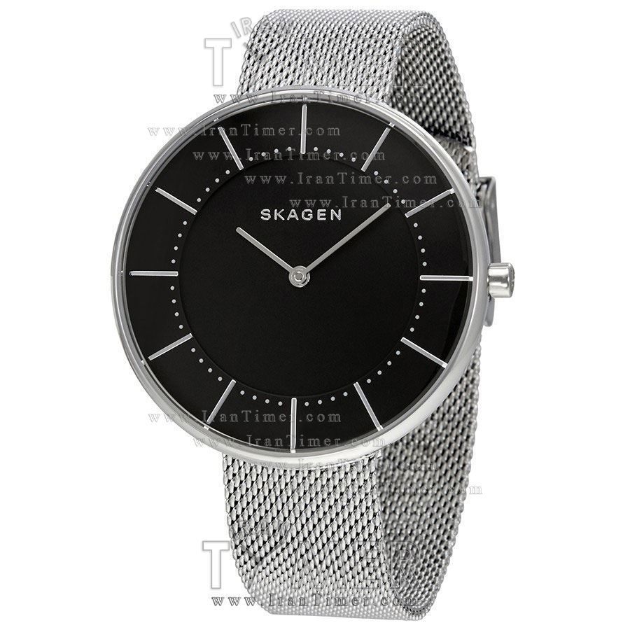 قیمت و خرید ساعت مچی زنانه اسکاگن(SKAGEN) مدل SKW2561 کلاسیک | اورجینال و اصلی
