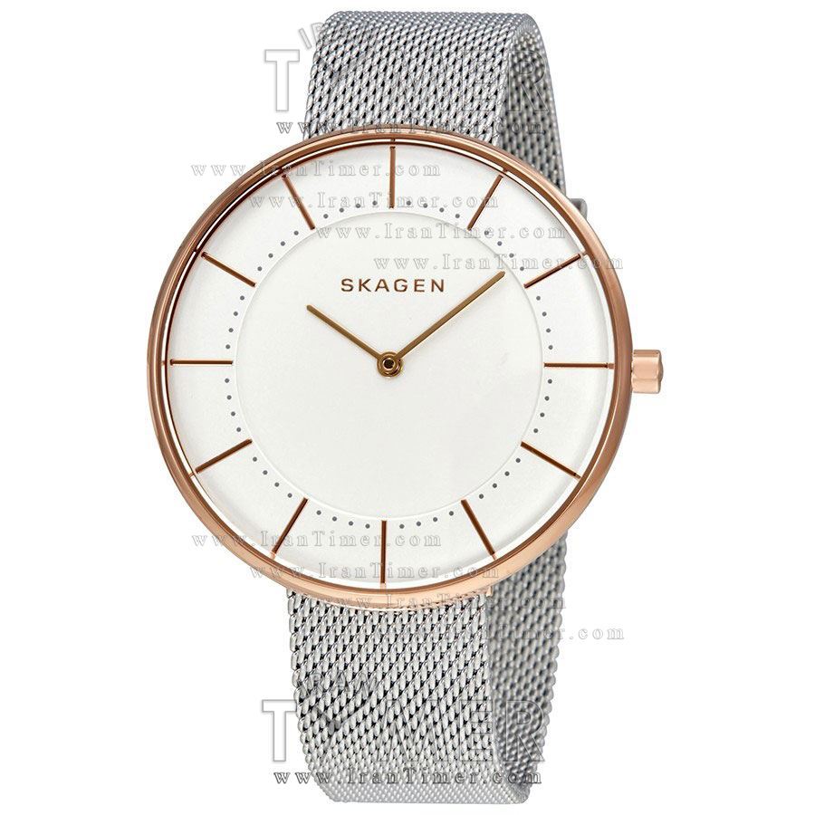 قیمت و خرید ساعت مچی زنانه اسکاگن(SKAGEN) مدل SKW2583 کلاسیک | اورجینال و اصلی