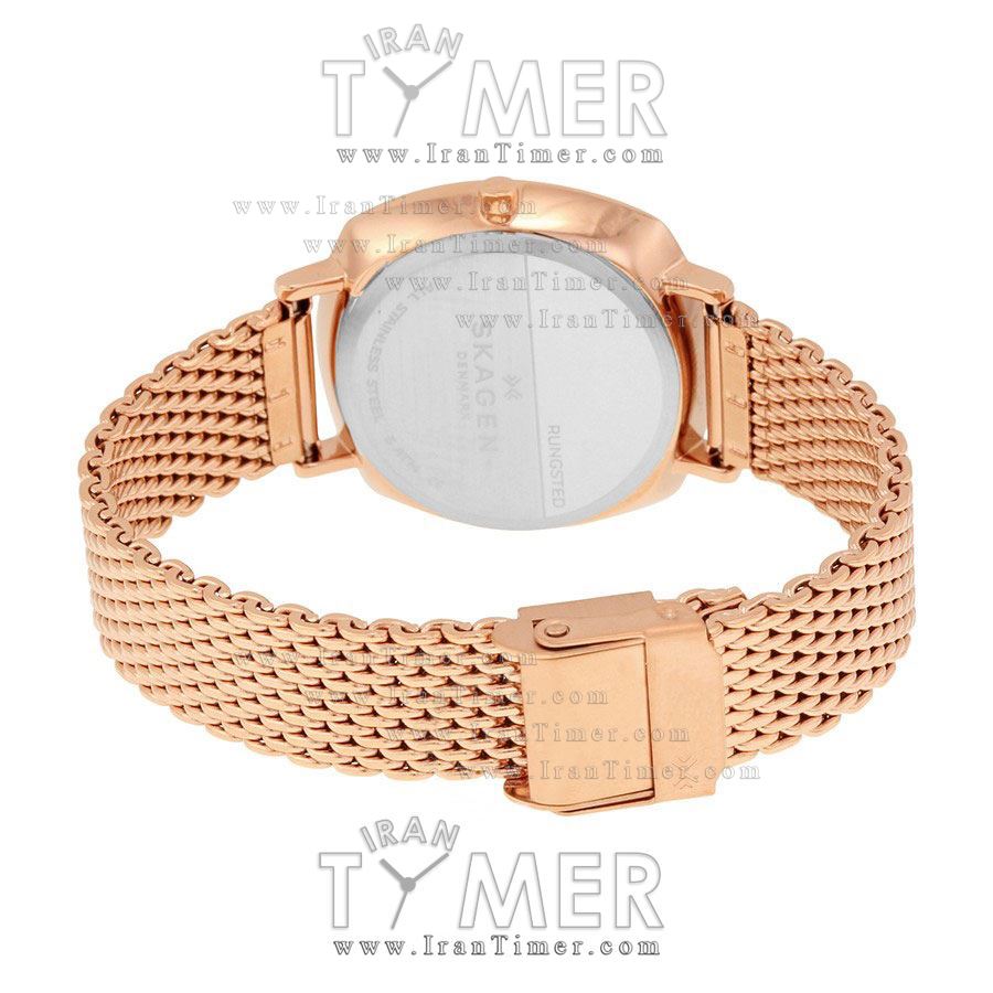 قیمت و خرید ساعت مچی زنانه اسکاگن(SKAGEN) مدل SKW2401 کلاسیک | اورجینال و اصلی