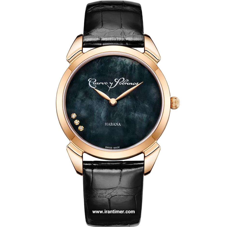 قیمت و خرید ساعت مچی زنانه کوئروی سابرینوس(Cuervo y Sobrinos) مدل 3113.7N فشن | اورجینال و اصلی
