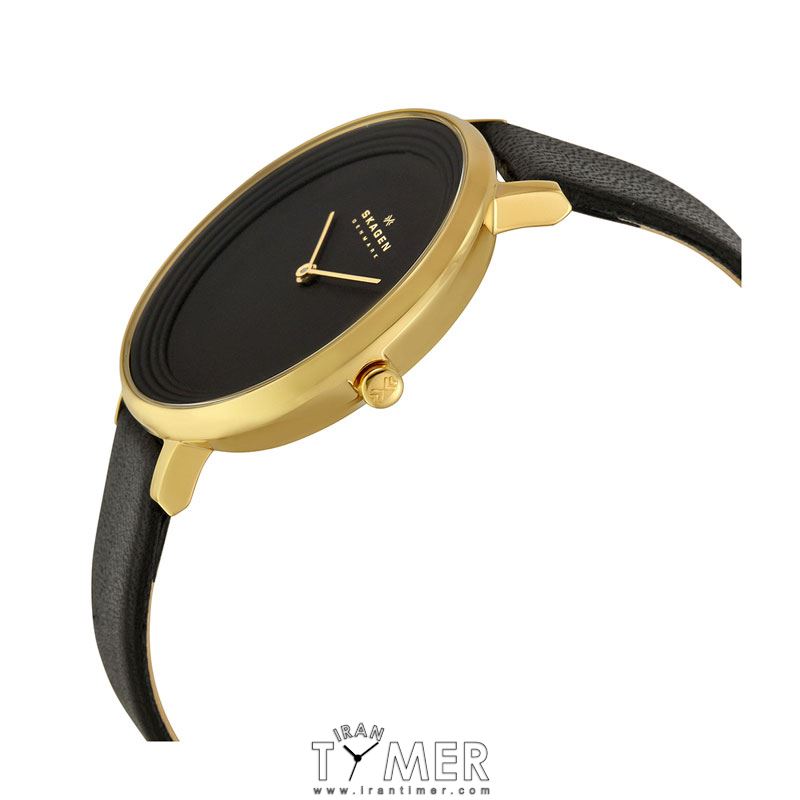 قیمت و خرید ساعت مچی زنانه اسکاگن(SKAGEN) مدل SKW2286 کلاسیک | اورجینال و اصلی