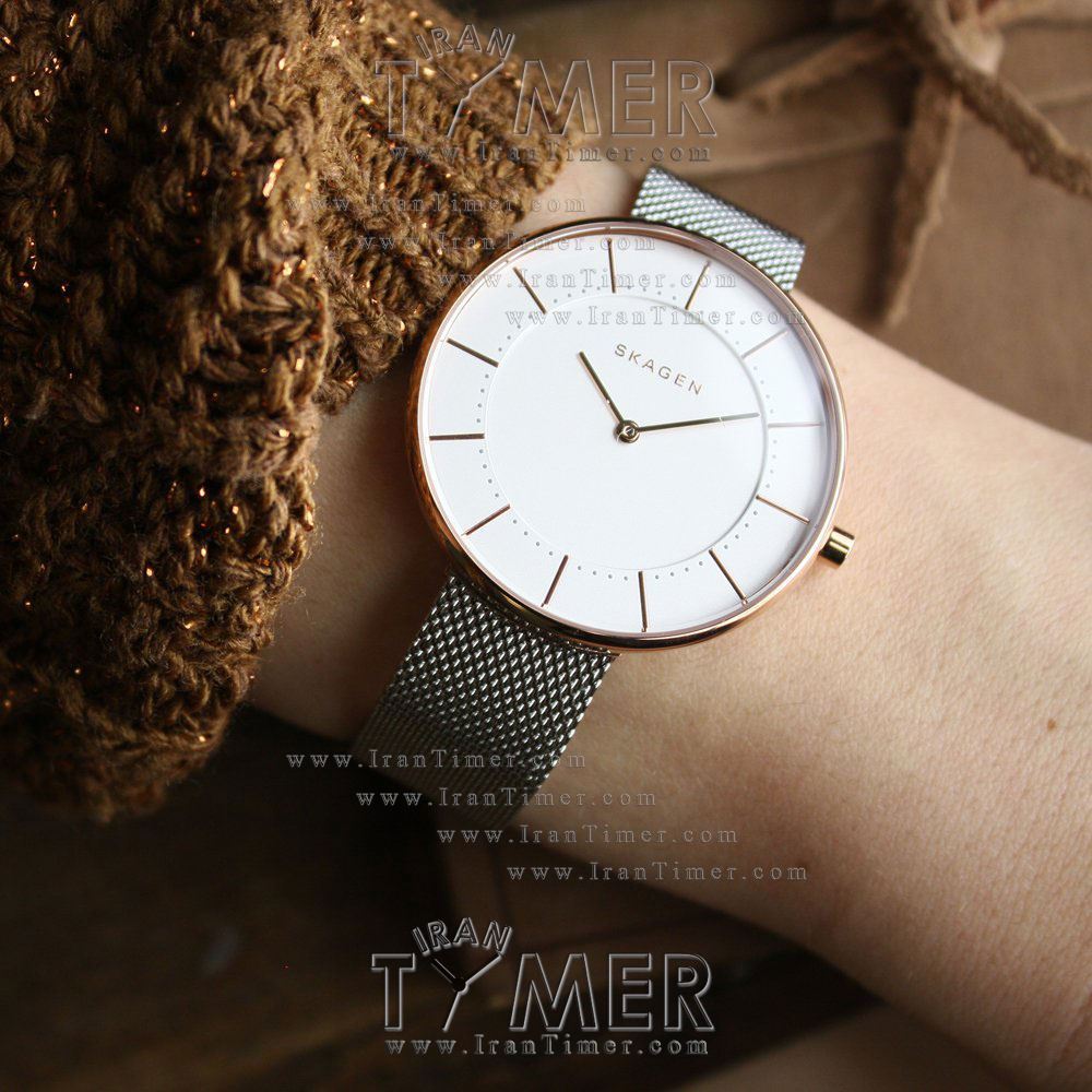 قیمت و خرید ساعت مچی زنانه اسکاگن(SKAGEN) مدل SKW2583 کلاسیک | اورجینال و اصلی