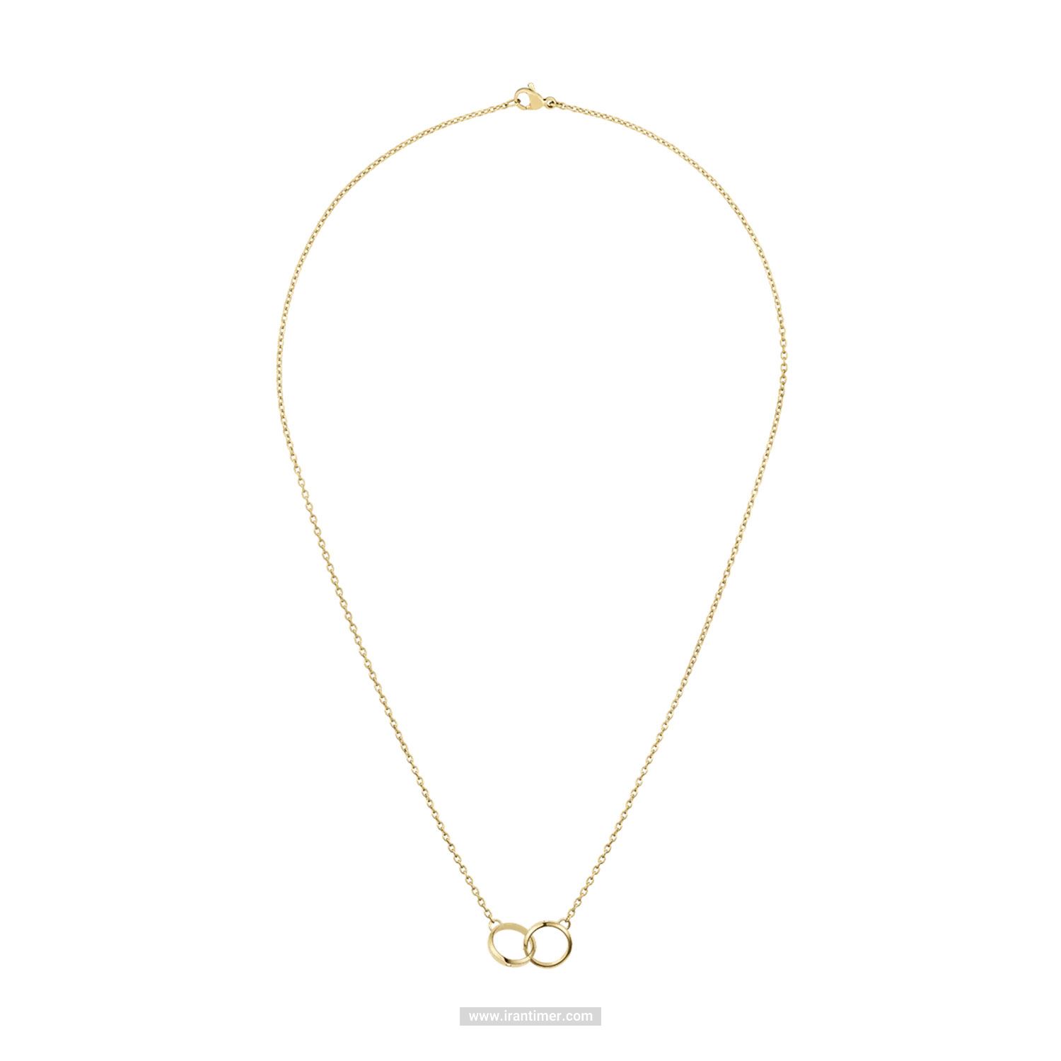 قیمت و خرید گردنبند زنانه دنیل ولینگتون(DANIEL WELLINGTON) مدل DW00400353 فشن (ست لباس) کلاسیک | اورجینال و اصلی