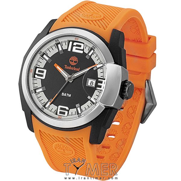 قیمت و خرید ساعت مچی مردانه تیمبرلند(TIMBERLAND) مدل TBL13861JPBU-02 اسپرت | اورجینال و اصلی