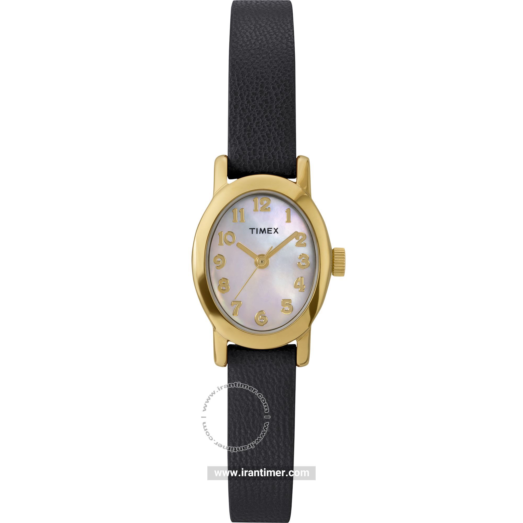 قیمت و خرید ساعت مچی زنانه تایمکس(TIMEX) مدل TW2W82600 کلاسیک | اورجینال و اصلی