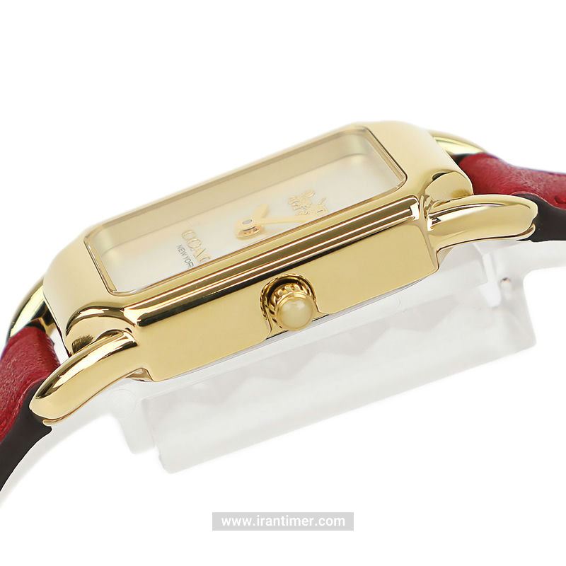 قیمت و خرید ساعت مچی زنانه کوچ(Coach) مدل 14504025 کلاسیک | اورجینال و اصلی