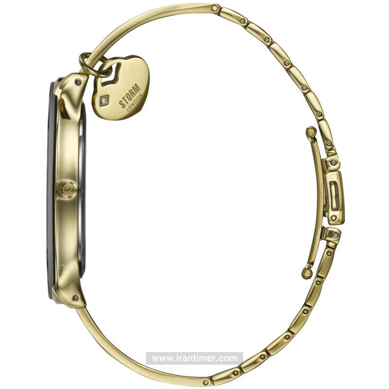 قیمت و خرید ساعت مچی زنانه استورم(STORM) مدل 47514/GD/BK کلاسیک | اورجینال و اصلی