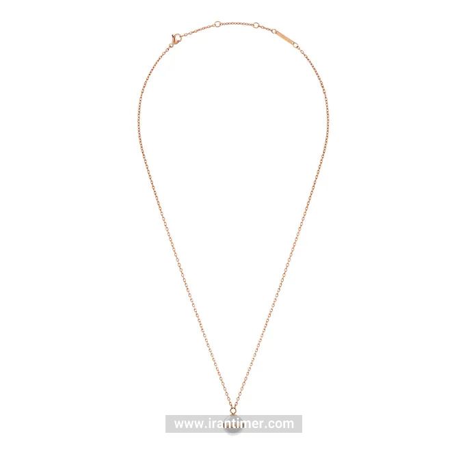قیمت و خرید گردنبند زنانه دنیل ولینگتون(DANIEL WELLINGTON) مدل DW00400157 کلاسیک | اورجینال و اصلی