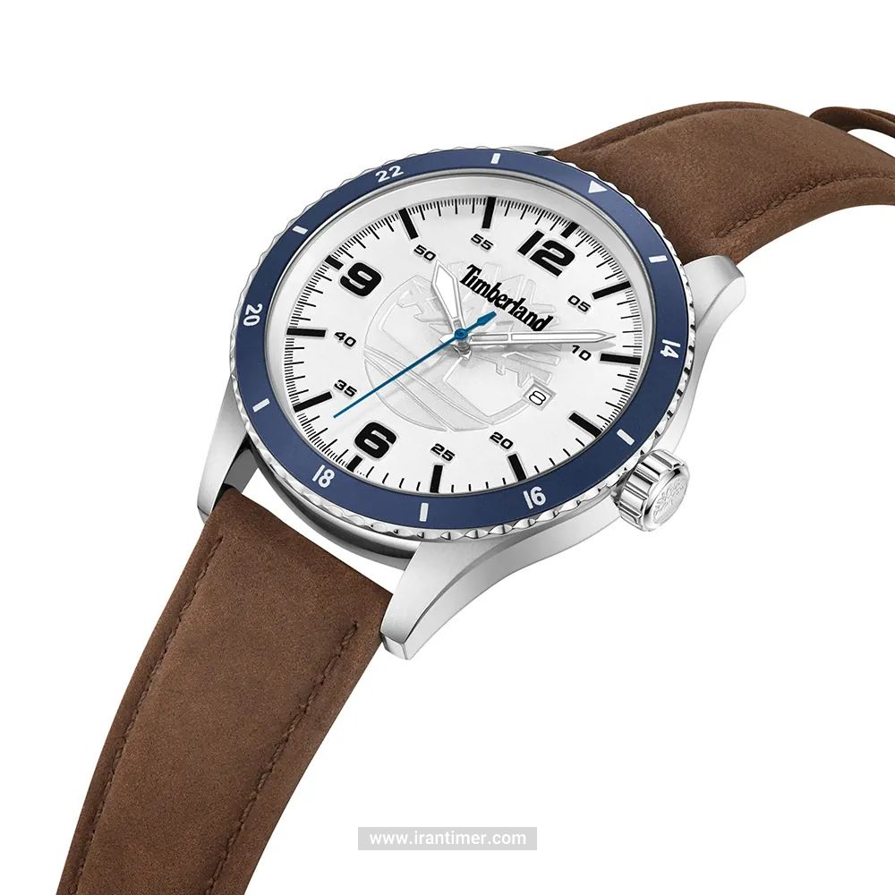 قیمت و خرید ساعت مچی مردانه تیمبرلند(TIMBERLAND) مدل TDWGB0010501 کلاسیک | اورجینال و اصلی