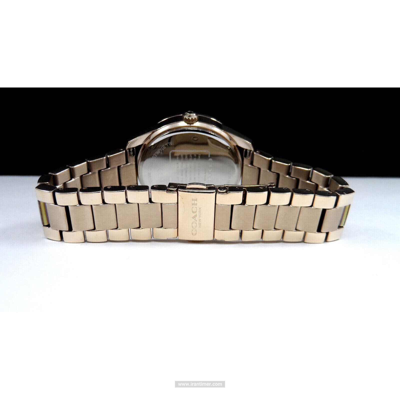 قیمت و خرید ساعت مچی زنانه کوچ(Coach) مدل 14503776 فشن | اورجینال و اصلی