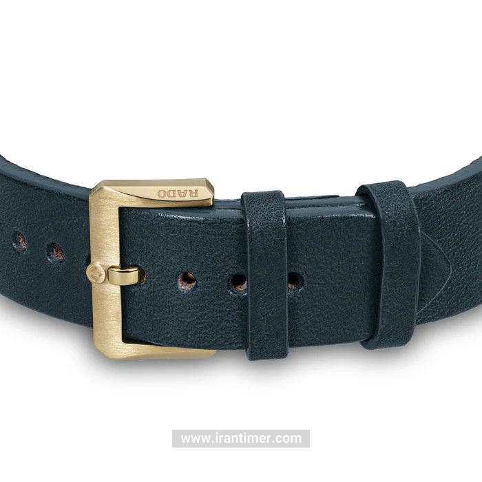 قیمت و خرید ساعت مچی مردانه رادو(RADO) مدل R32504205 کلاسیک | اورجینال و اصلی