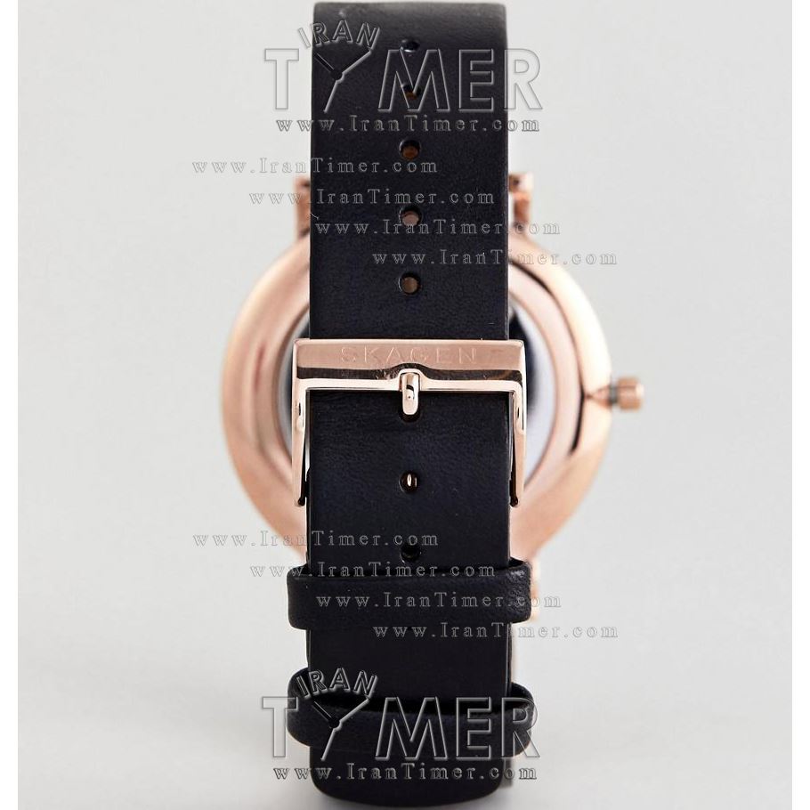 قیمت و خرید ساعت مچی مردانه اسکاگن(SKAGEN) مدل SKW6447 کلاسیک | اورجینال و اصلی