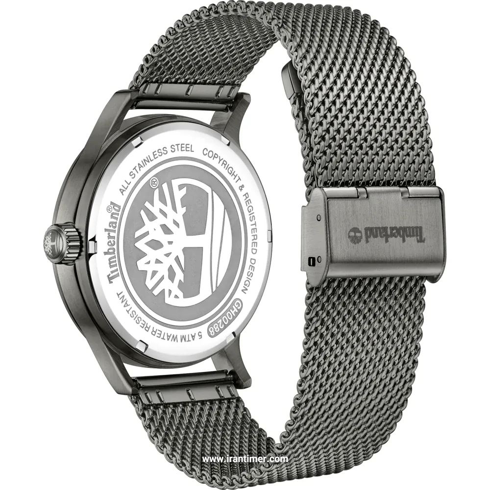 قیمت و خرید ساعت مچی مردانه تیمبرلند(TIMBERLAND) مدل TDWGH0028802 کلاسیک | اورجینال و اصلی
