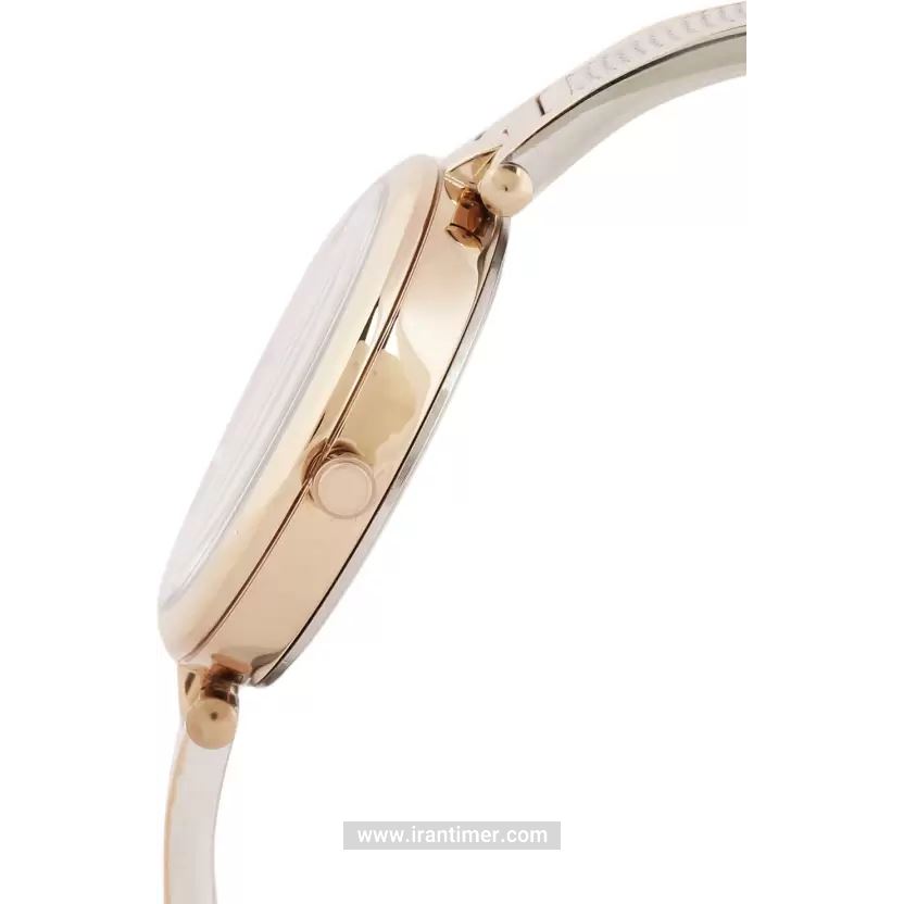 قیمت و خرید ساعت مچی زنانه دنیل کلین(Daniel Klein) مدل DK.1.12425-1 کلاسیک | اورجینال و اصلی