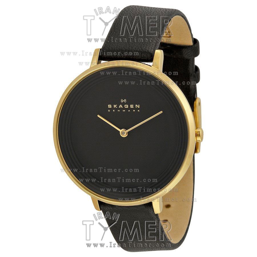 قیمت و خرید ساعت مچی زنانه اسکاگن(SKAGEN) مدل SKW2286 کلاسیک | اورجینال و اصلی