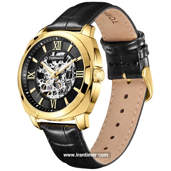قیمت و خرید ساعت مچی مردانه تورنادو(Tornado) مدل T7316-GLBB کلاسیک | اورجینال و اصلی