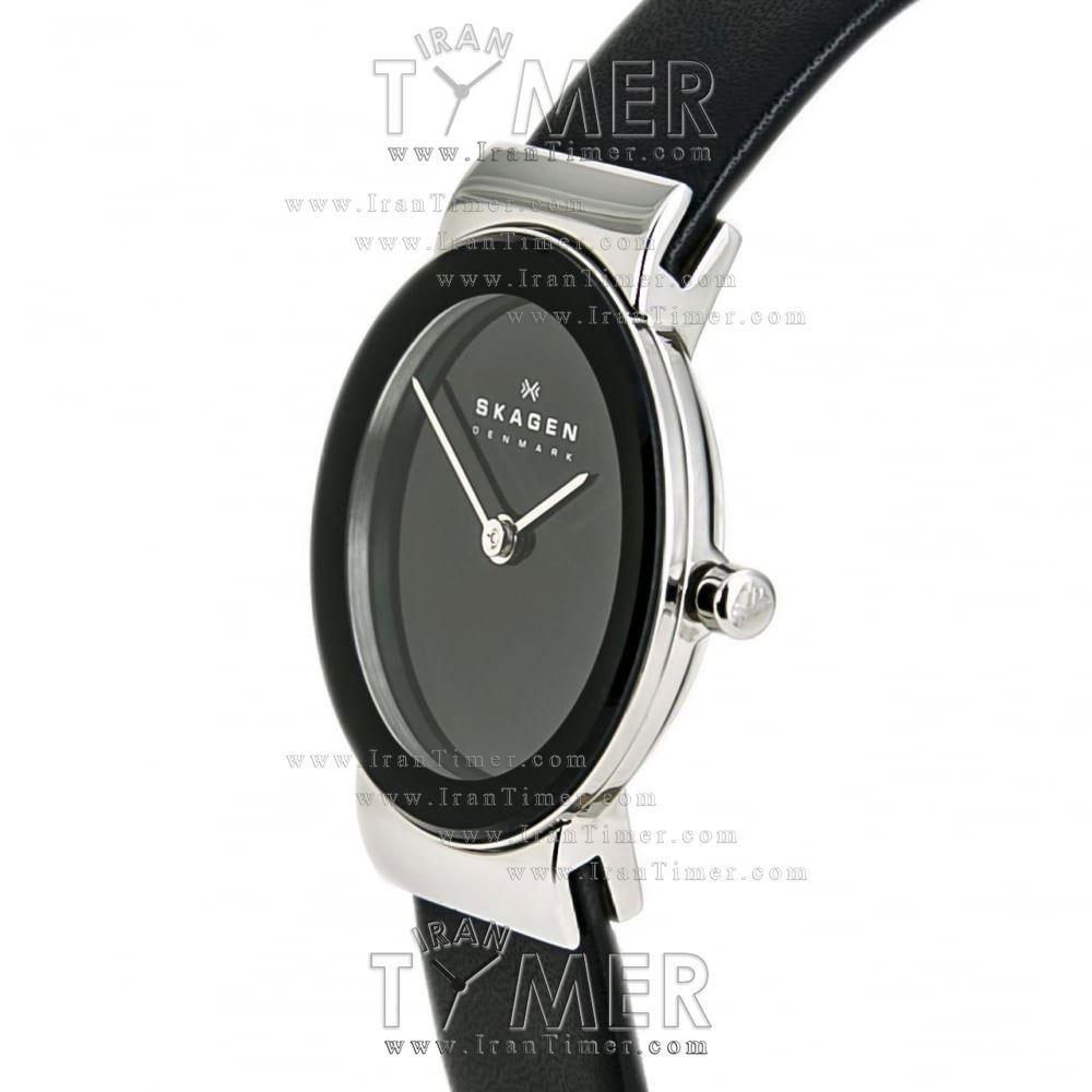 قیمت و خرید ساعت مچی زنانه اسکاگن(SKAGEN) مدل 358SSLB کلاسیک | اورجینال و اصلی