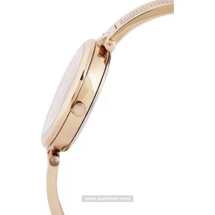 قیمت و خرید ساعت مچی زنانه دنیل کلین(Daniel Klein) مدل DK.1.12425-3 کلاسیک | اورجینال و اصلی