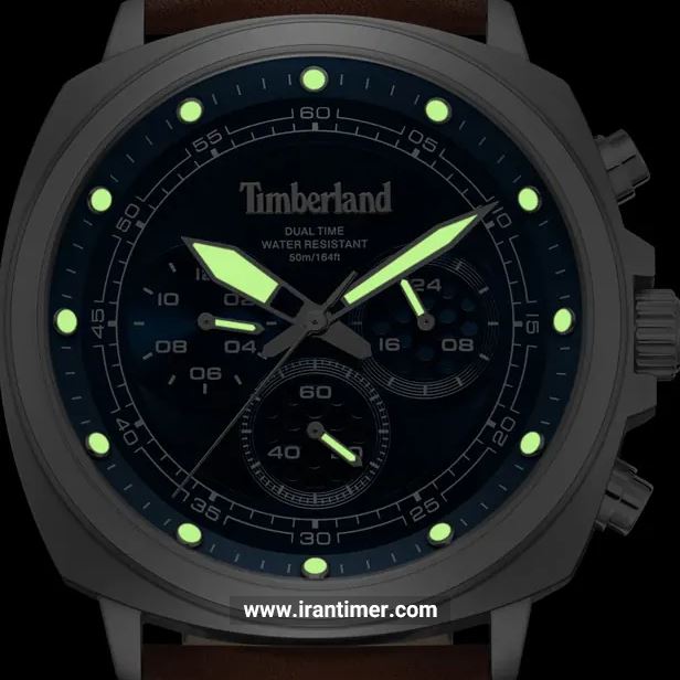 قیمت و خرید ساعت مچی مردانه تیمبرلند(TIMBERLAND) مدل TDWGF0042001 اسپرت | اورجینال و اصلی