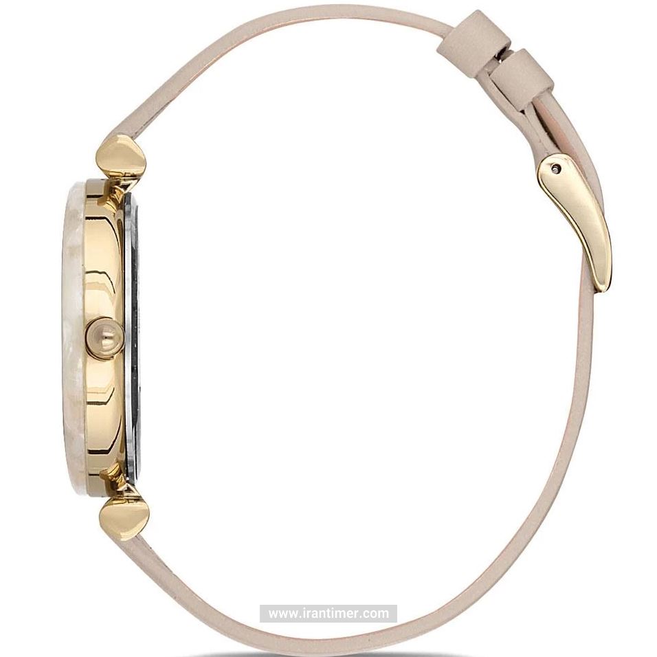 قیمت و خرید ساعت مچی زنانه دنیل کلین(Daniel Klein) مدل DK.1.12544-5 کلاسیک | اورجینال و اصلی