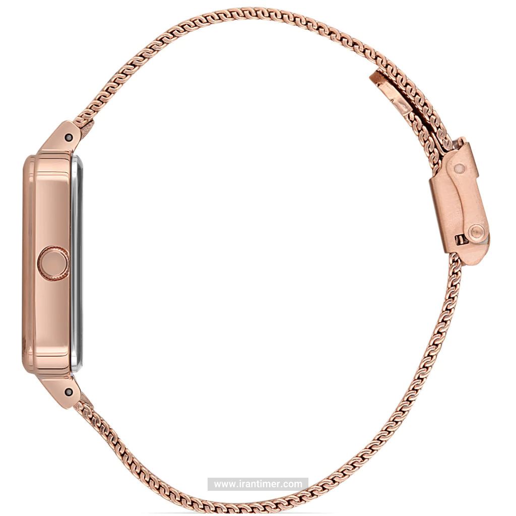 قیمت و خرید ساعت مچی زنانه دنیل کلین(Daniel Klein) مدل DK.1.12537-3 کلاسیک | اورجینال و اصلی