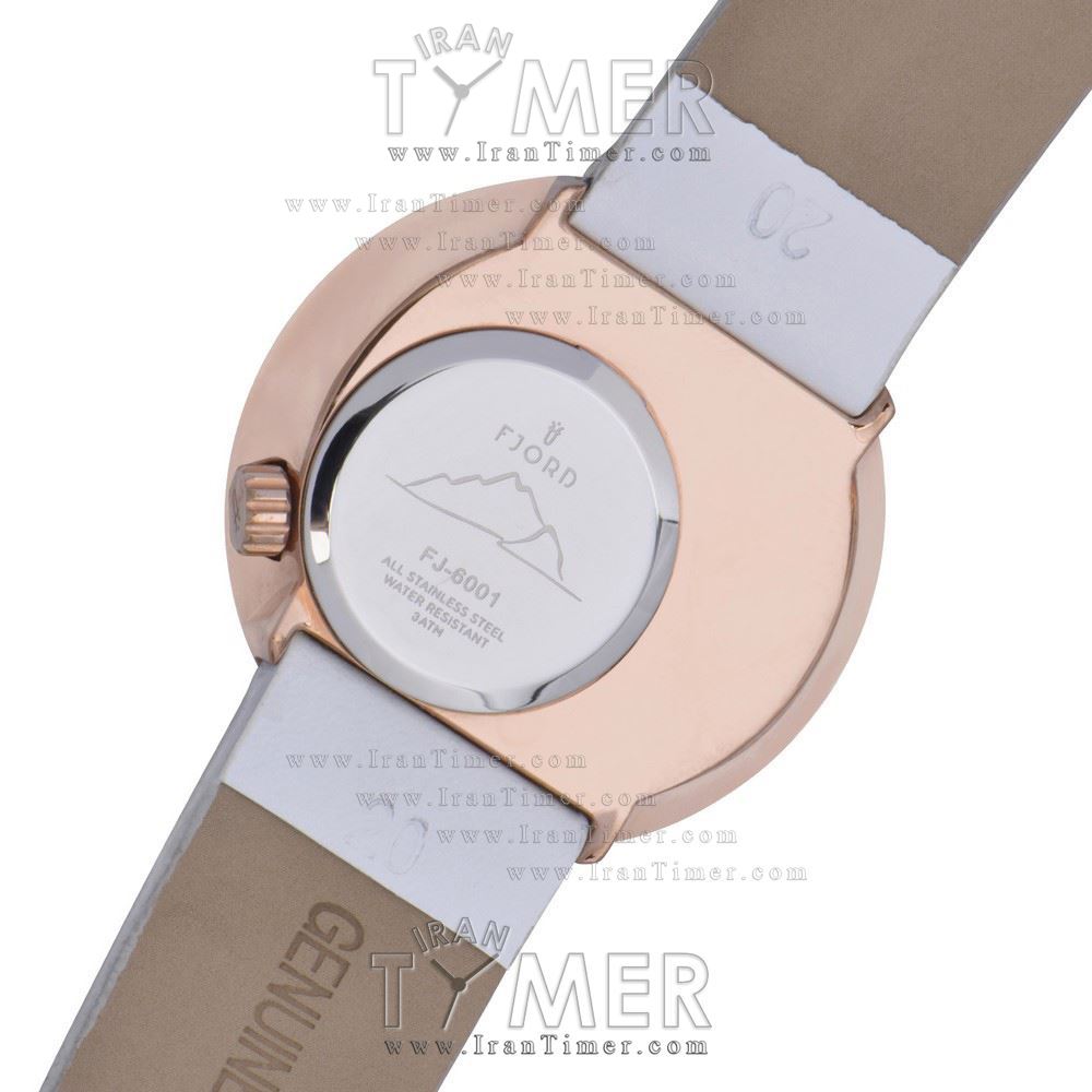 قیمت و خرید ساعت مچی زنانه فیورد(FJORD) مدل FJ6001-03 کلاسیک فشن | اورجینال و اصلی