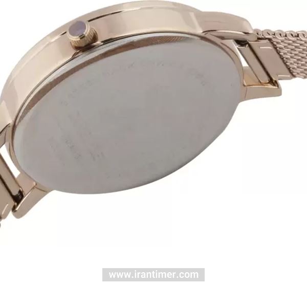 قیمت و خرید ساعت مچی زنانه دنیل کلین(Daniel Klein) مدل DK.1.12404-2 کلاسیک | اورجینال و اصلی