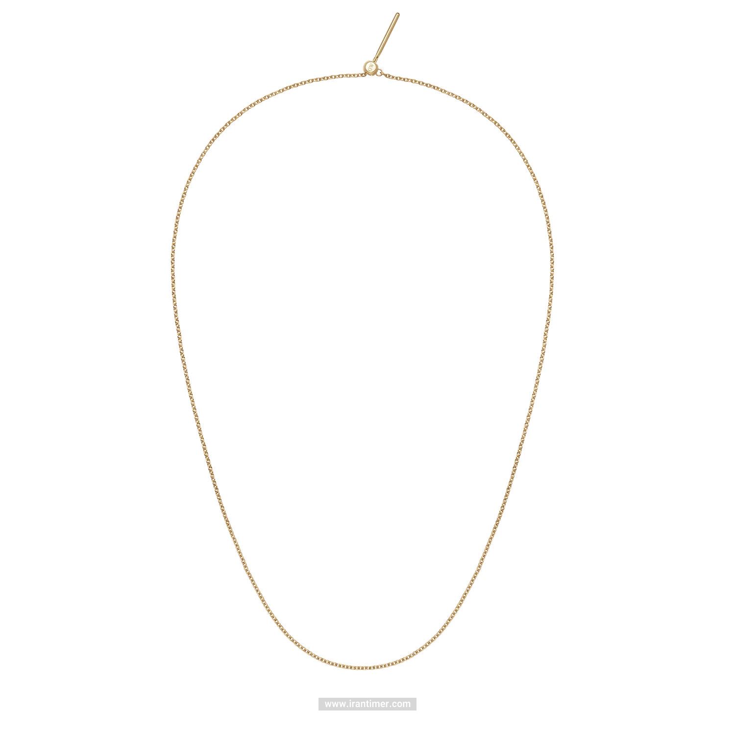 قیمت و خرید گردنبند زنانه دنیل ولینگتون(DANIEL WELLINGTON) مدل DW00400397 کلاسیک | اورجینال و اصلی