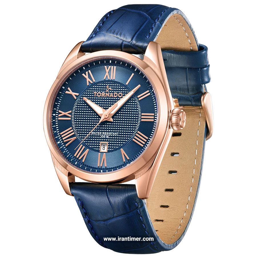 قیمت و خرید ساعت مچی مردانه تورنادو(Tornado) مدل T8007-RLNN کلاسیک | اورجینال و اصلی