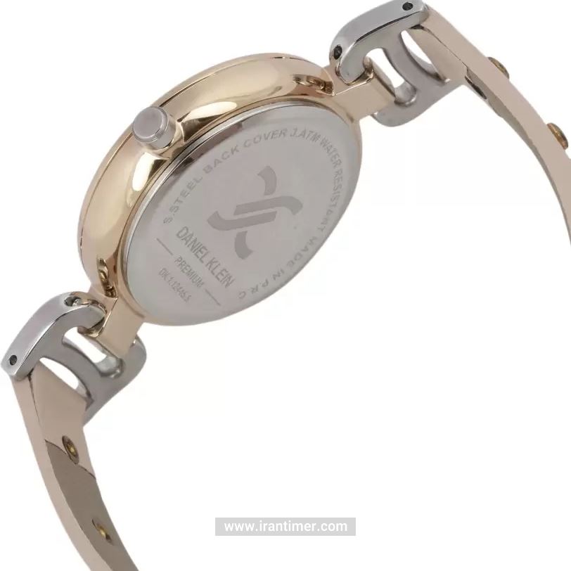 قیمت و خرید ساعت مچی زنانه دنیل کلین(Daniel Klein) مدل DK.1.12445-5 کلاسیک | اورجینال و اصلی