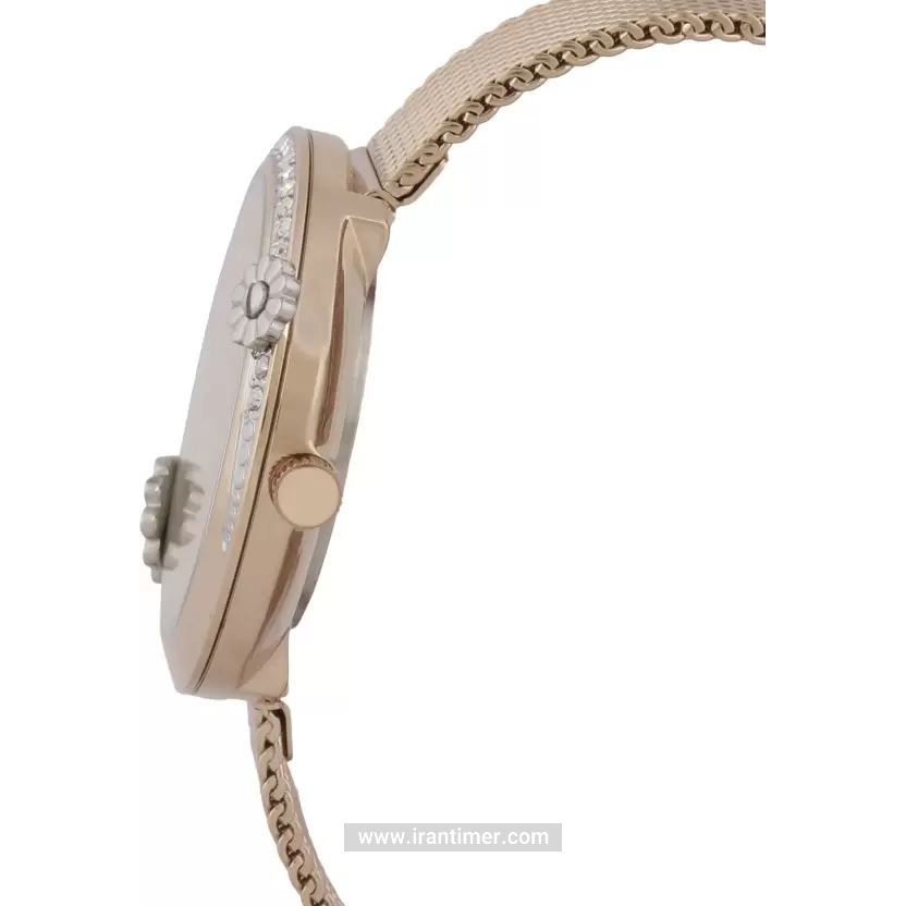 قیمت و خرید ساعت مچی زنانه دنیل کلین(Daniel Klein) مدل DK.1.12398-5 فشن | اورجینال و اصلی