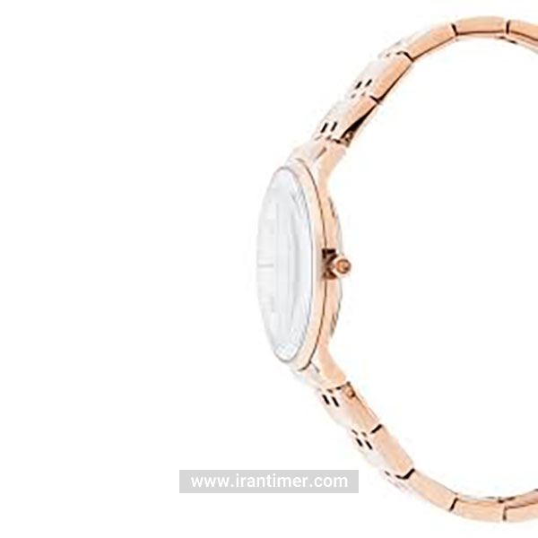 قیمت و خرید ساعت مچی زنانه پیر کاردین(PIERRE CARDIN) مدل PC902722F120 کلاسیک | اورجینال و اصلی