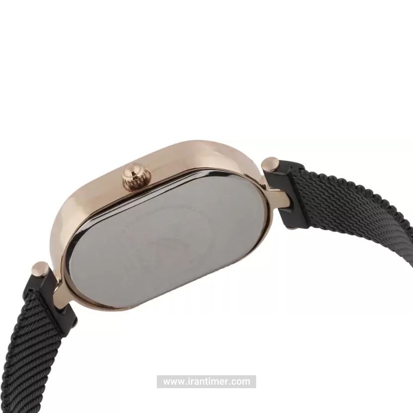 قیمت و خرید ساعت مچی زنانه دنیل کلین(Daniel Klein) مدل DK.1.12466-6 کلاسیک فشن | اورجینال و اصلی