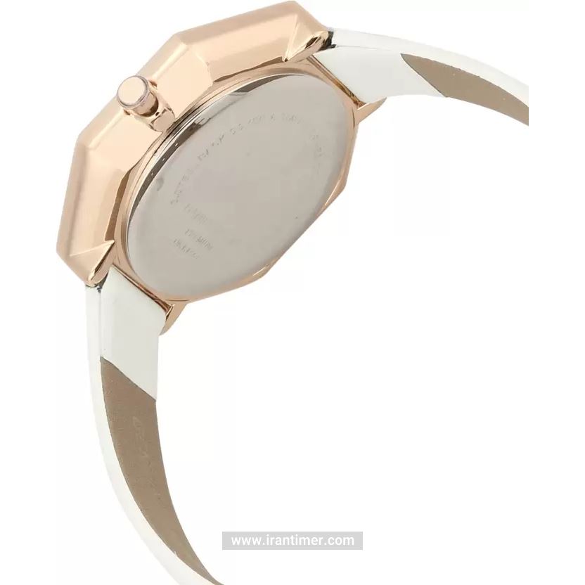 قیمت و خرید ساعت مچی زنانه دنیل کلین(Daniel Klein) مدل DK.1.12376-6 کلاسیک | اورجینال و اصلی