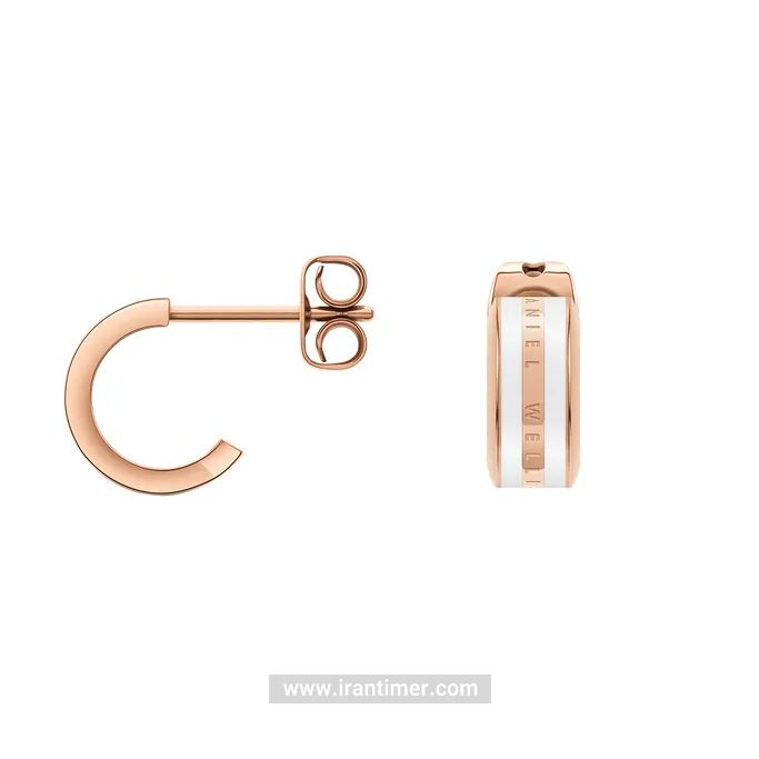 قیمت و خرید گوشواره زنانه دنیل ولینگتون(DANIEL WELLINGTON) مدل DW00400148 کلاسیک | اورجینال و اصلی