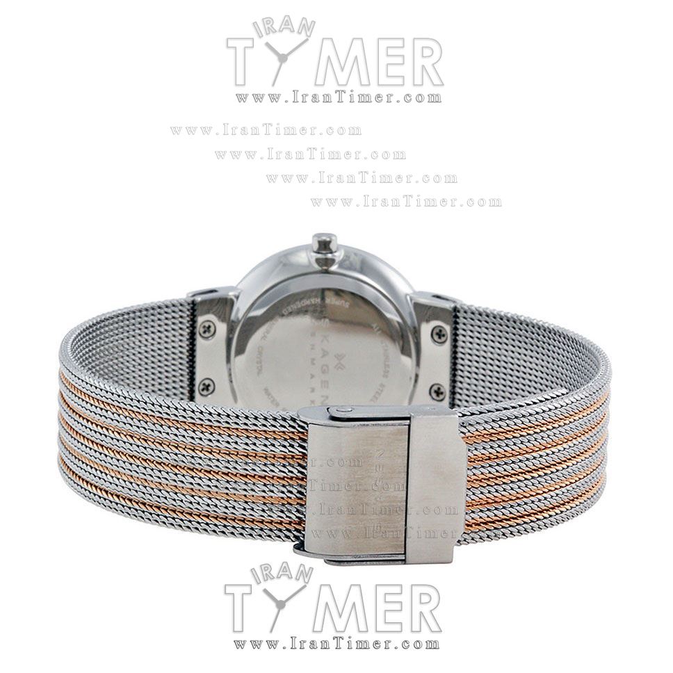 قیمت و خرید ساعت مچی زنانه اسکاگن(SKAGEN) مدل 355SSRS کلاسیک | اورجینال و اصلی
