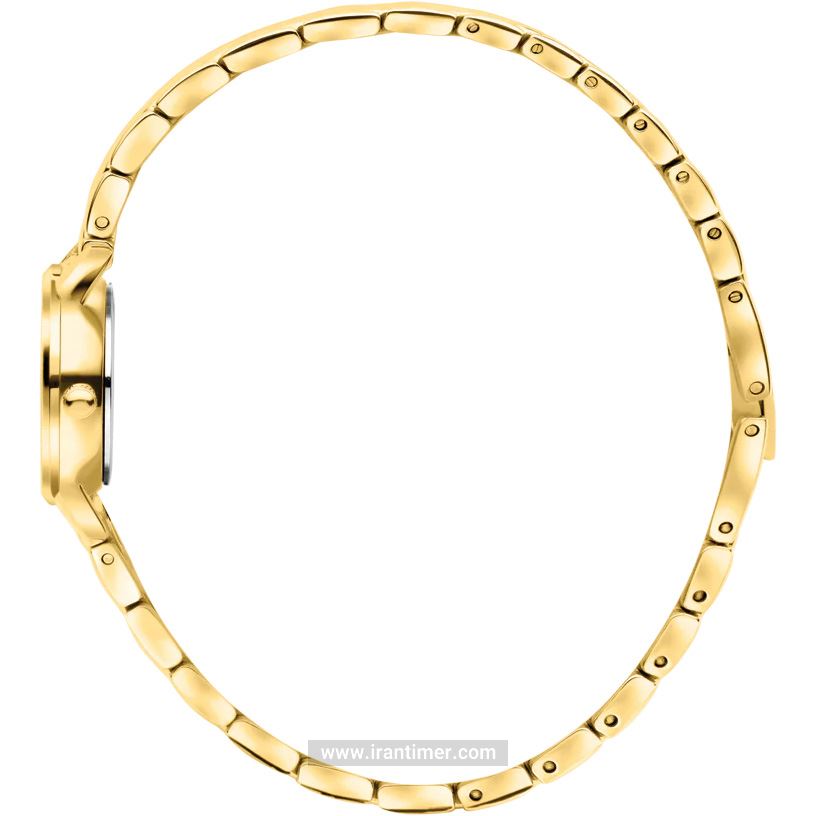 قیمت و خرید ساعت مچی زنانه دنیش دیزاین(Danish Design) مدل IV71Q1268 کلاسیک | اورجینال و اصلی