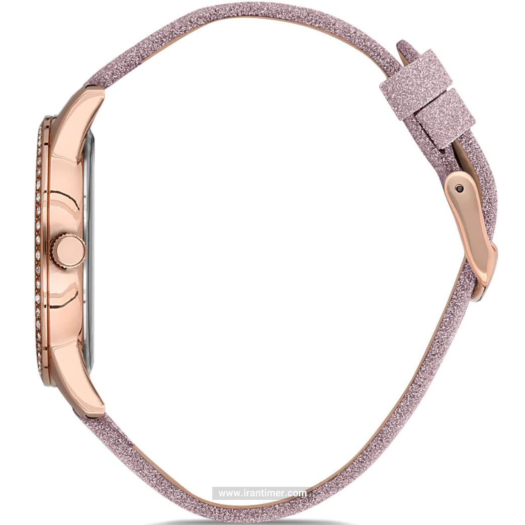 قیمت و خرید ساعت مچی زنانه دنیل کلین(Daniel Klein) مدل DK.1.12539-2 فشن | اورجینال و اصلی